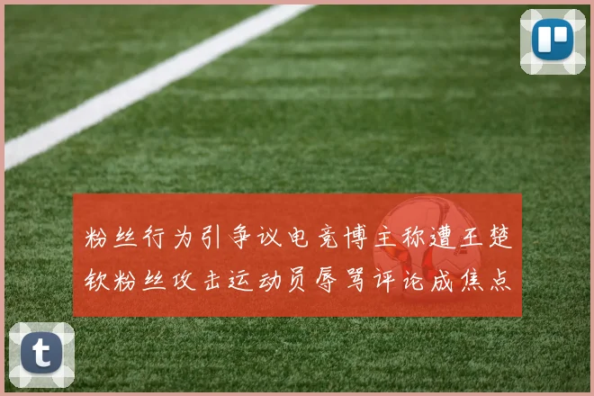 粉丝行为引争议电竞博主称遭王楚钦粉丝攻击运动员辱骂评论成焦点