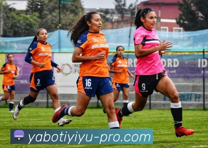 App Interface Preview