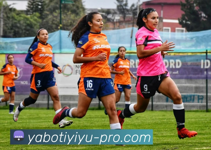 亚博体育(YABO)官方授权体育信息服务中心APP 封面图